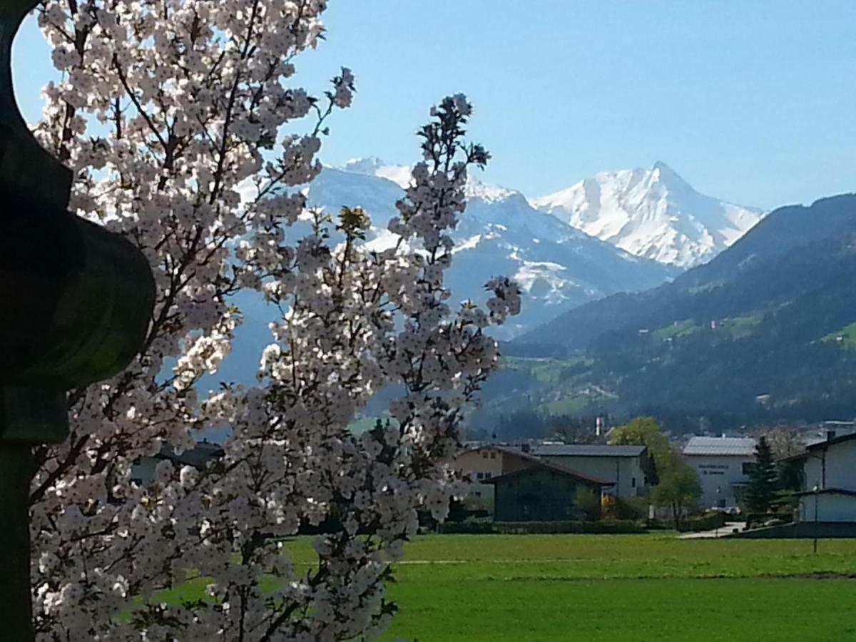 Apart Tyrol Uderns Exteriér fotografie